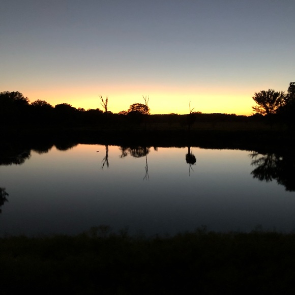 Meet your Posher, Julie - Picture 7 of 10